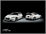 CR-Z, Mugen