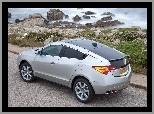 Dach, Acura ZDX, Panorama