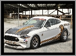 Ford Mustang Cobra Jet, Rajdowy