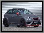 Seat Leon Cupra, Bok