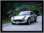 Smart Roadster, Szary